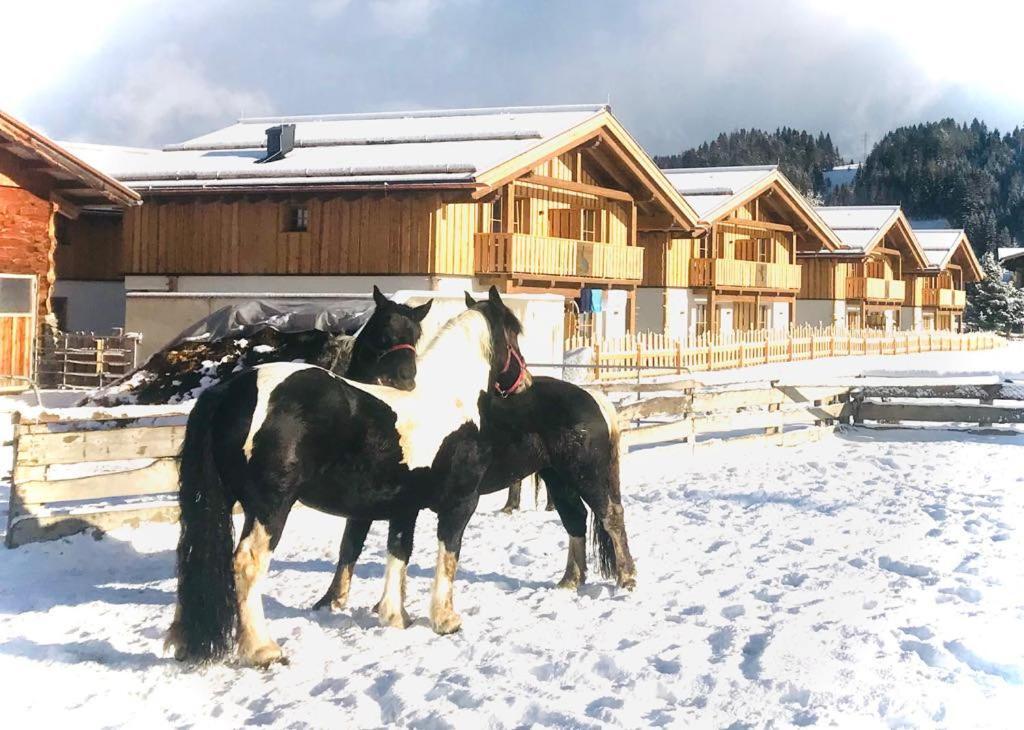 Sieglhub Chalets - Appartements - Hotel Flachau Exterior foto